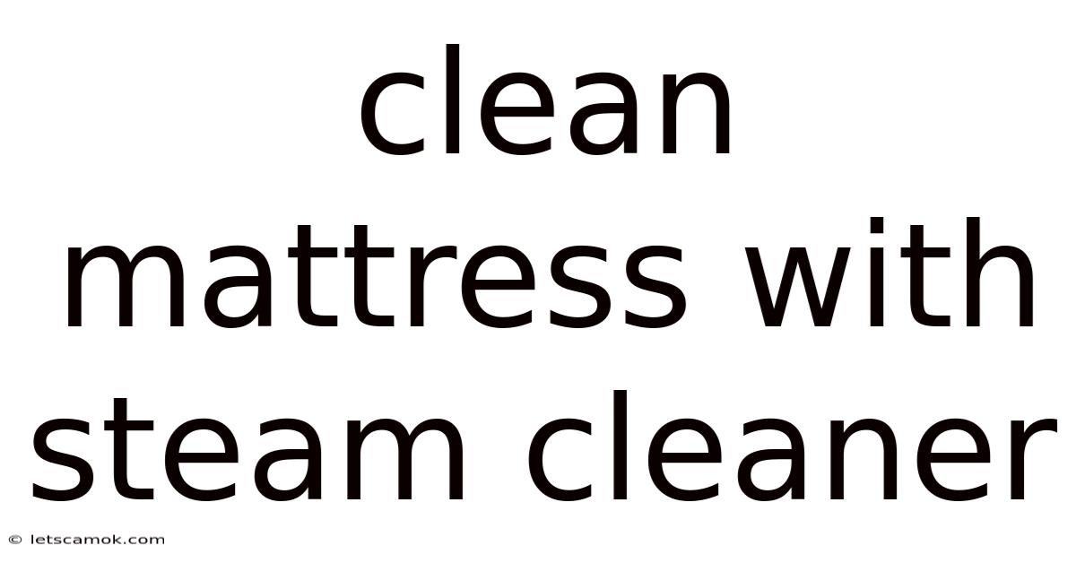 Clean Mattress With Steam Cleaner