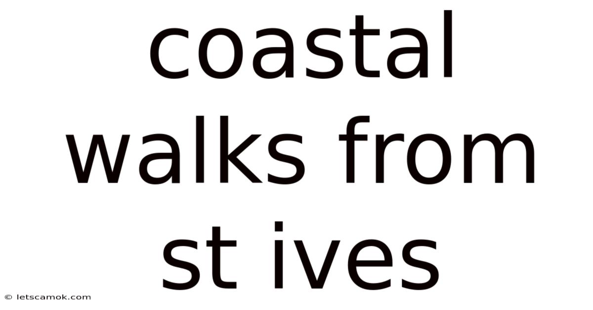 Coastal Walks From St Ives