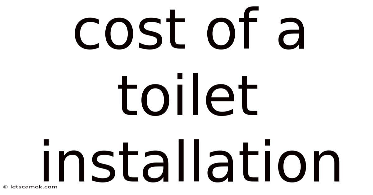 Cost Of A Toilet Installation