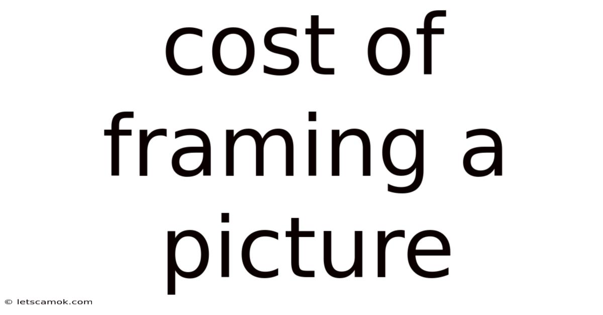 Cost Of Framing A Picture