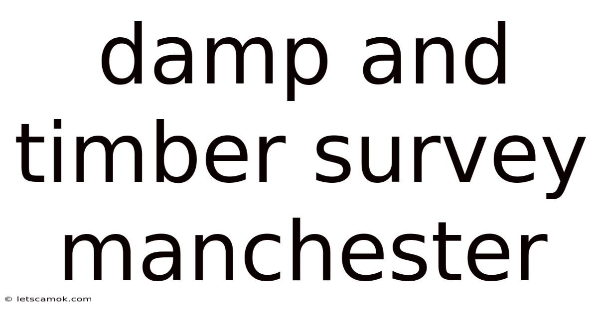 Damp And Timber Survey Manchester