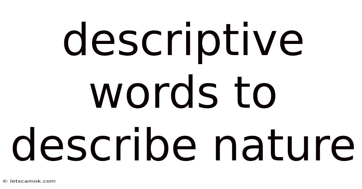 Descriptive Words To Describe Nature
