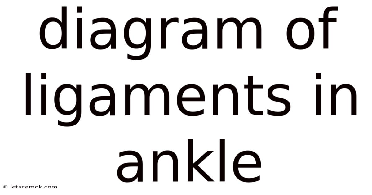 Diagram Of Ligaments In Ankle
