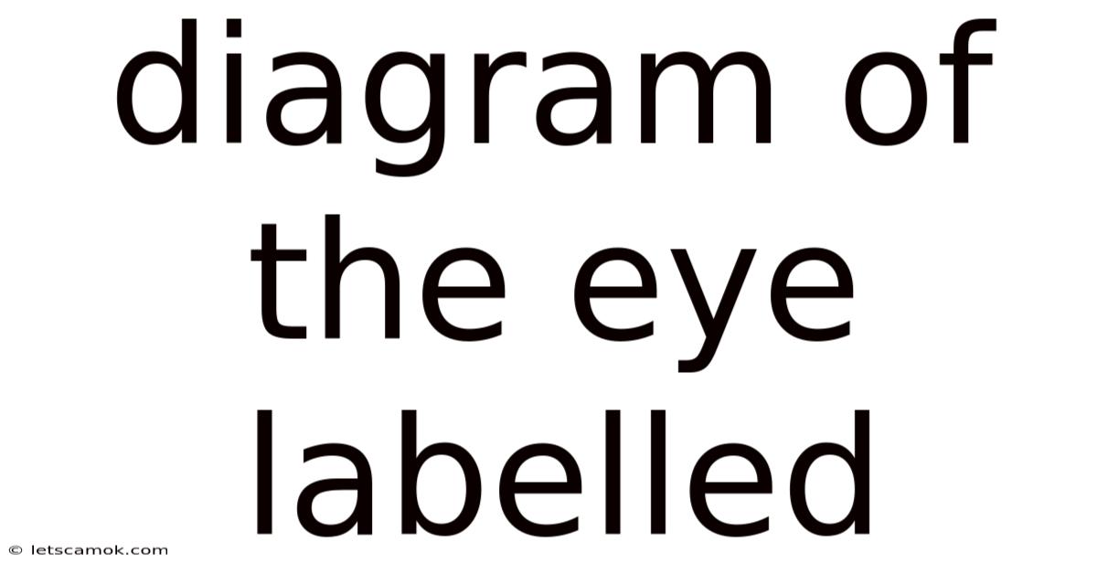Diagram Of The Eye Labelled