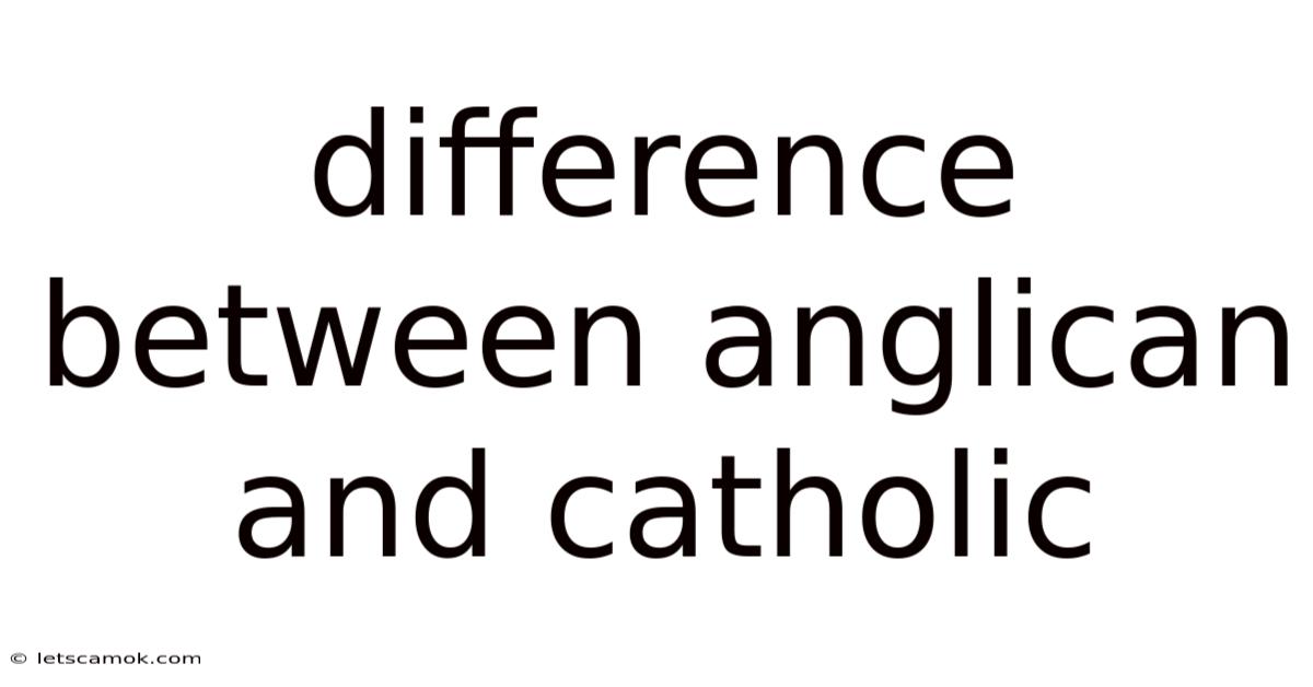 Difference Between Anglican And Catholic