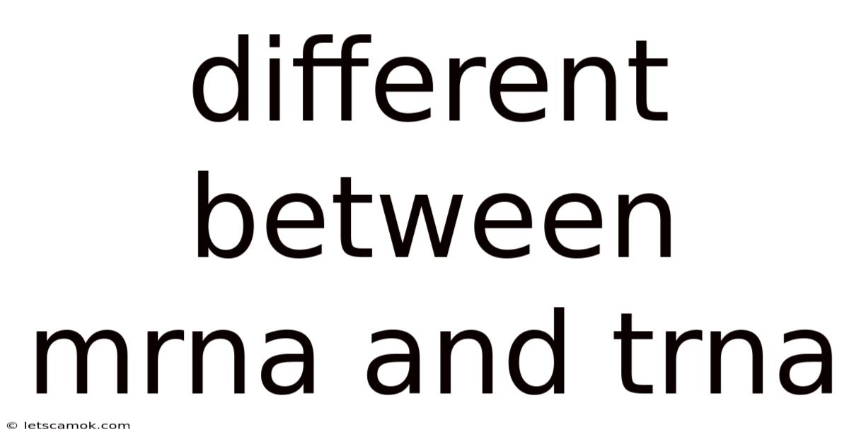 Different Between Mrna And Trna