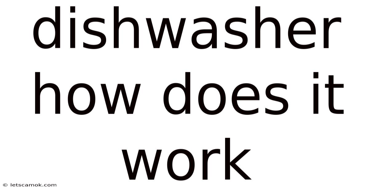 Dishwasher How Does It Work
