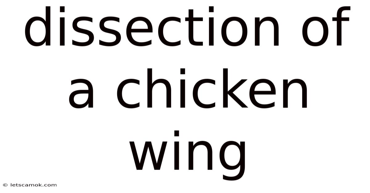 Dissection Of A Chicken Wing