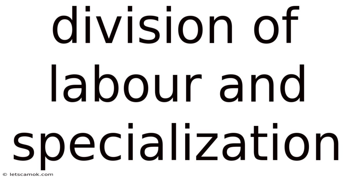 Division Of Labour And Specialization