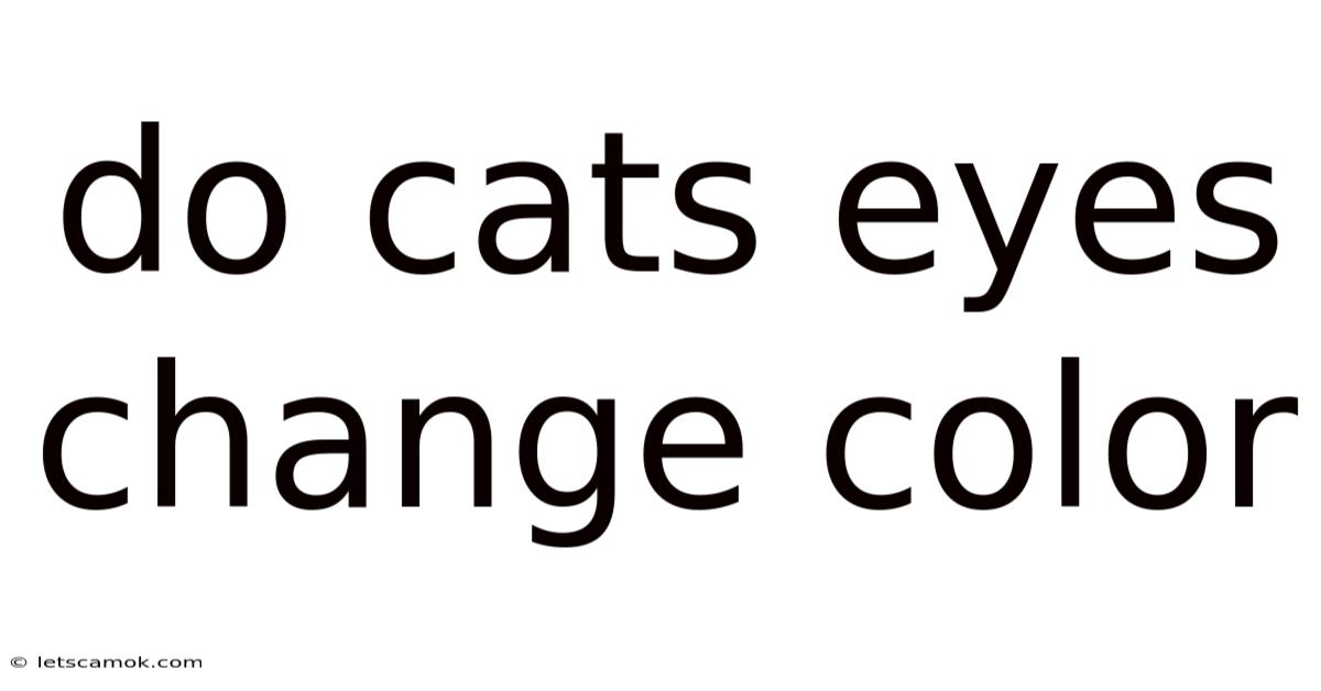 Do Cats Eyes Change Color