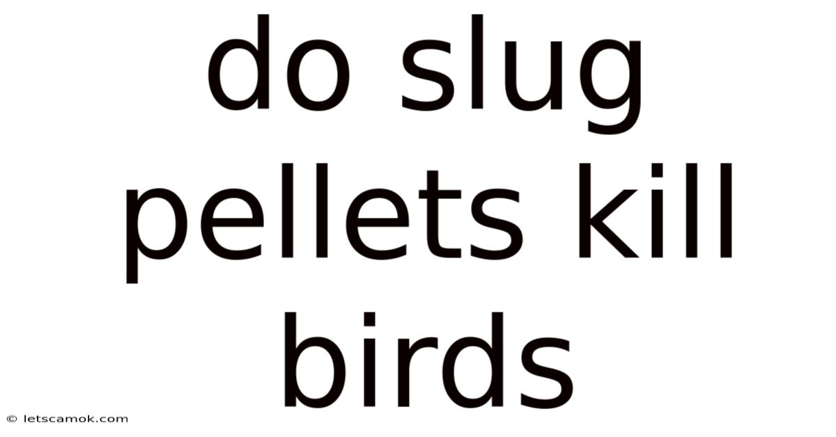Do Slug Pellets Kill Birds
