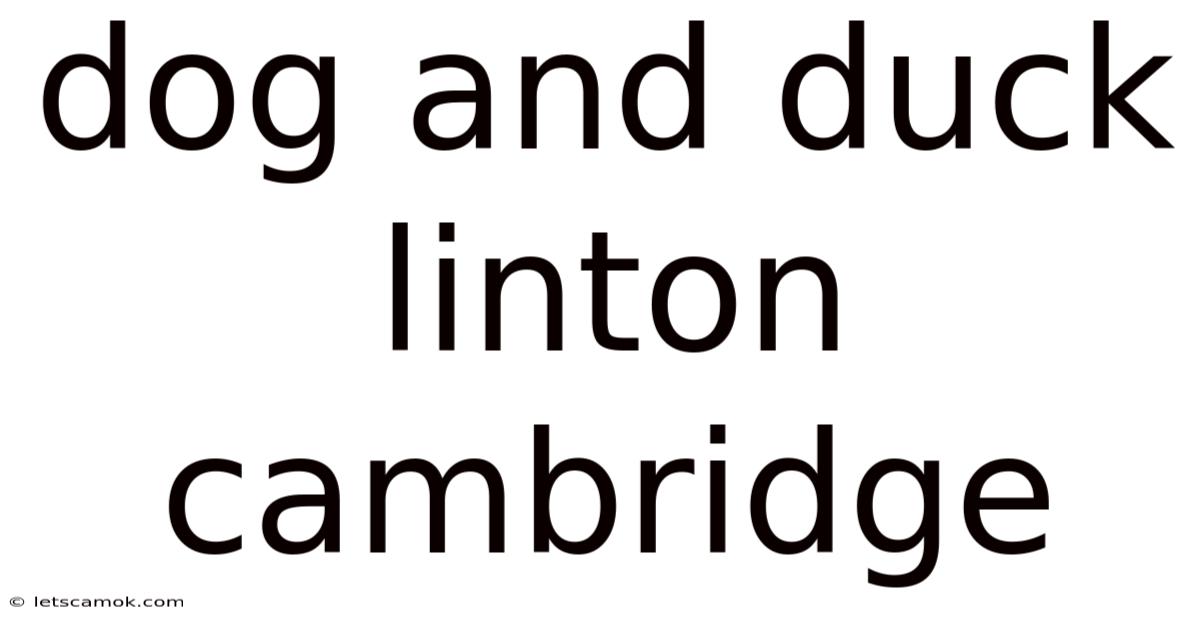 Dog And Duck Linton Cambridge