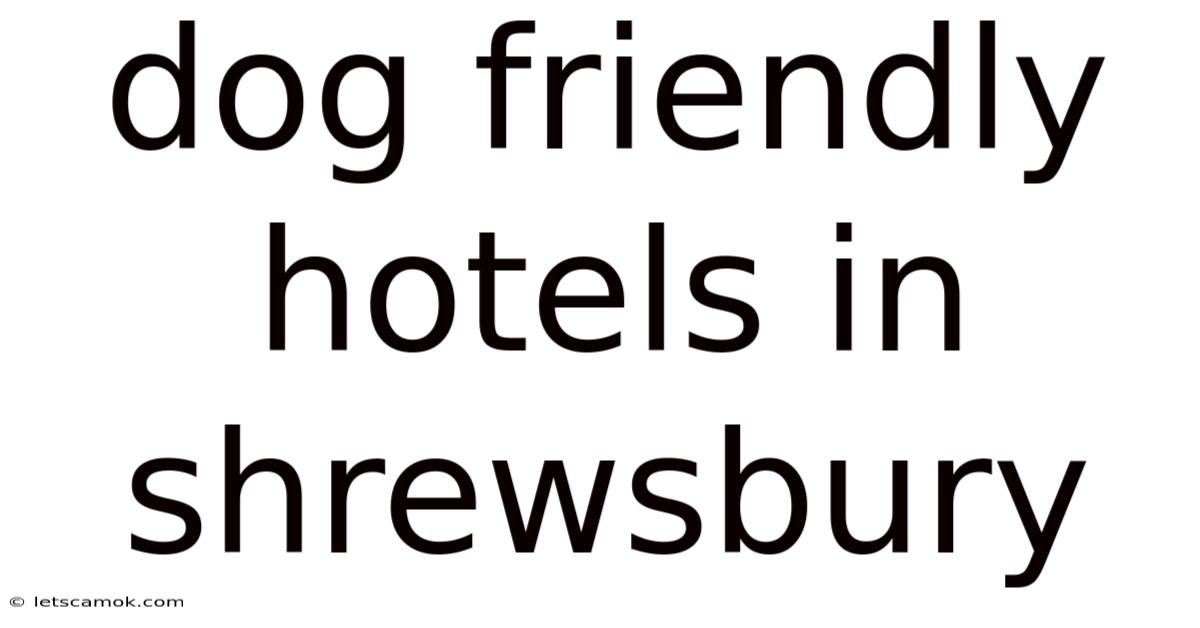 Dog Friendly Hotels In Shrewsbury