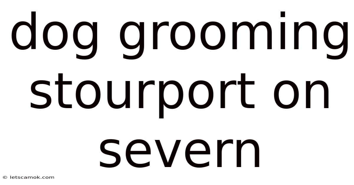 Dog Grooming Stourport On Severn