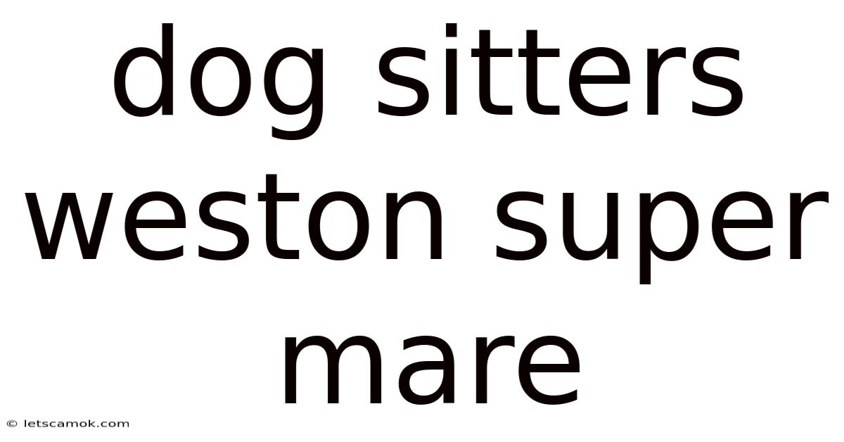 Dog Sitters Weston Super Mare