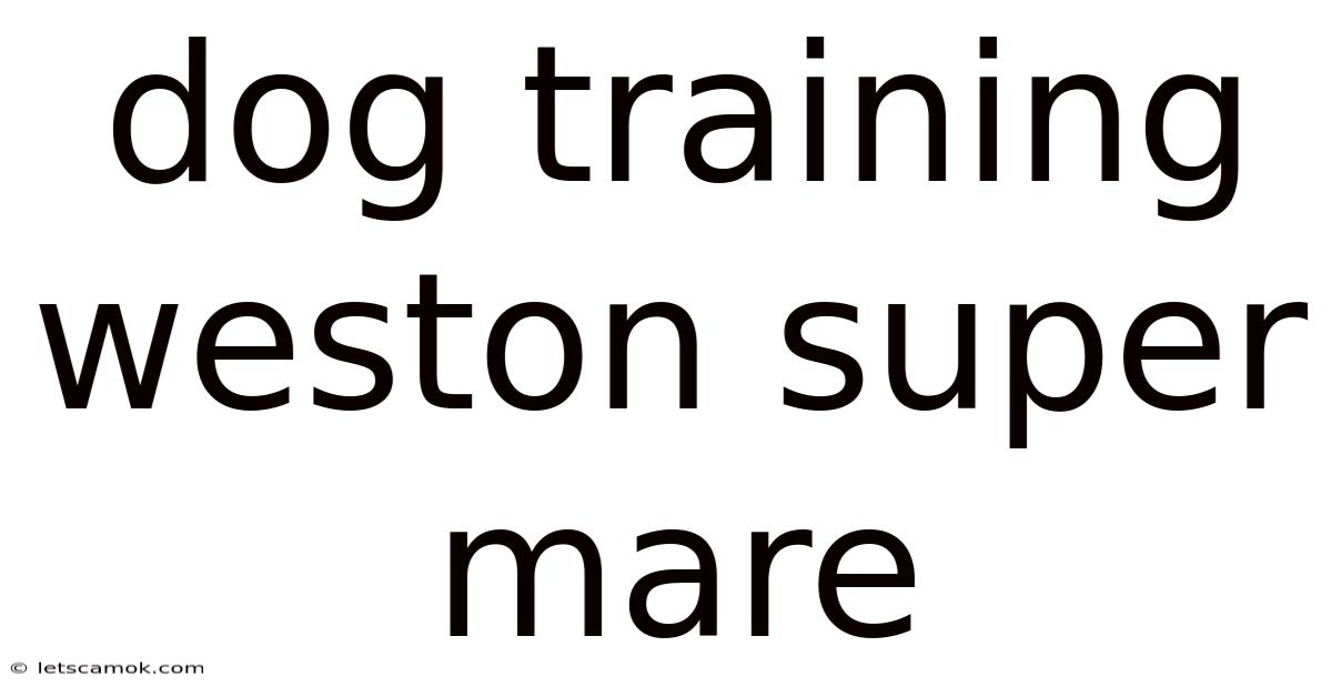 Dog Training Weston Super Mare
