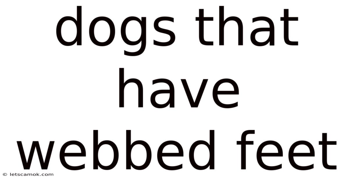 Dogs That Have Webbed Feet