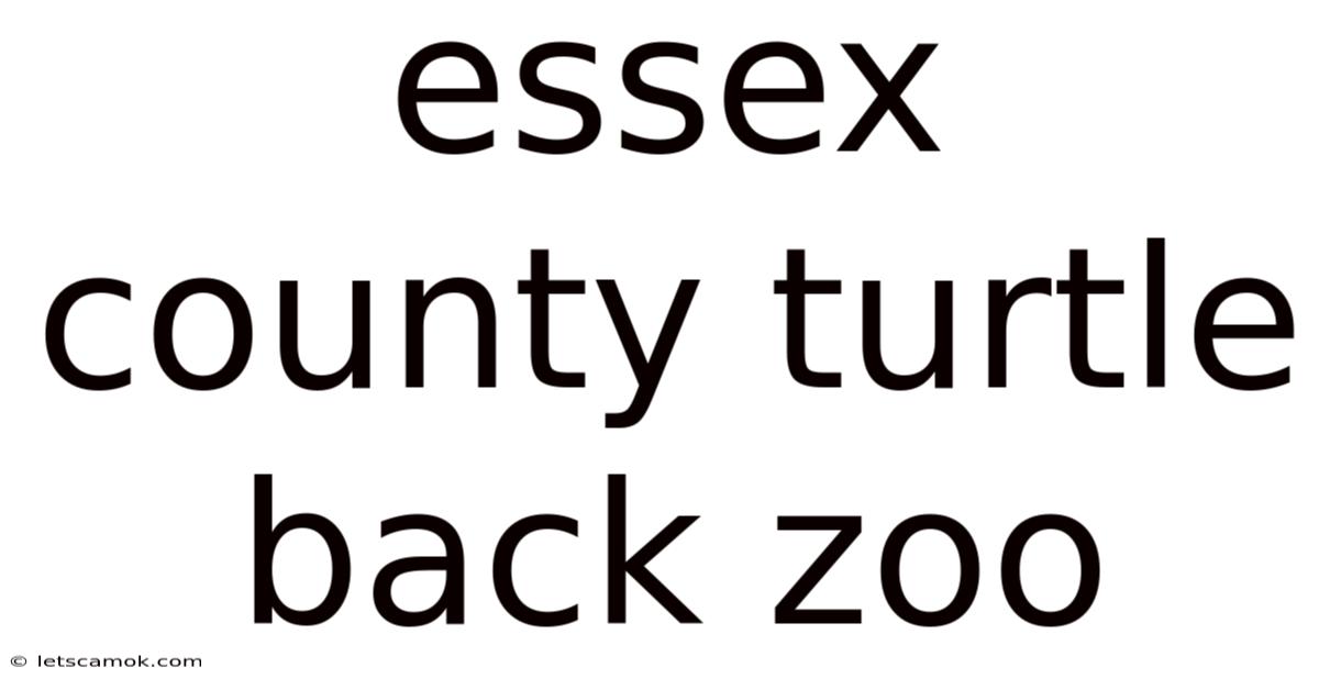 Essex County Turtle Back Zoo