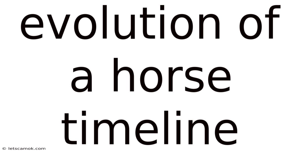 Evolution Of A Horse Timeline
