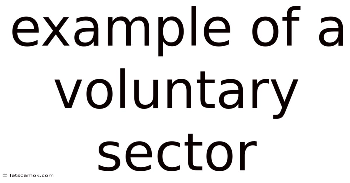 Example Of A Voluntary Sector