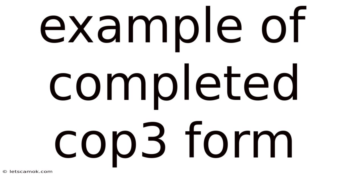 Example Of Completed Cop3 Form