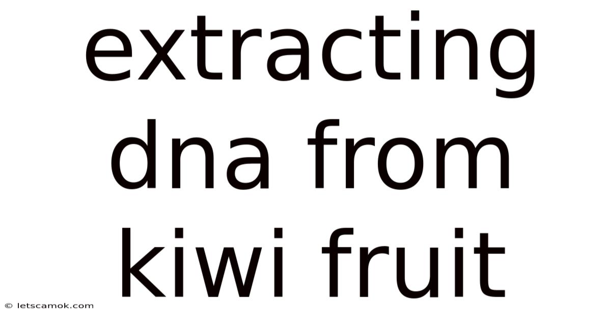 Extracting Dna From Kiwi Fruit