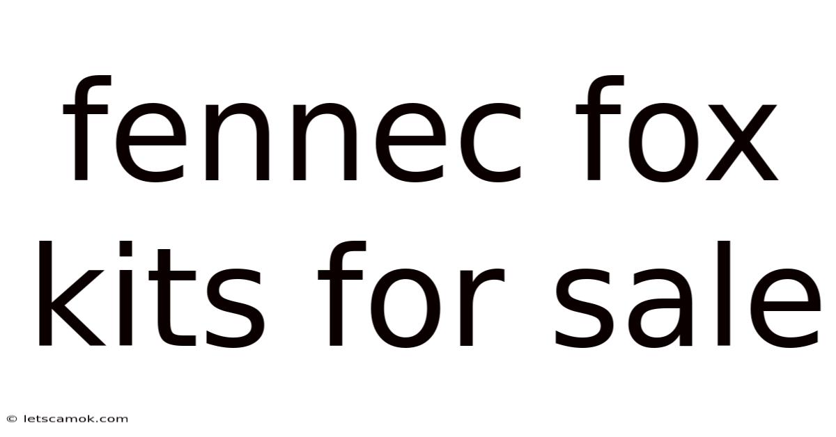 Fennec Fox Kits For Sale