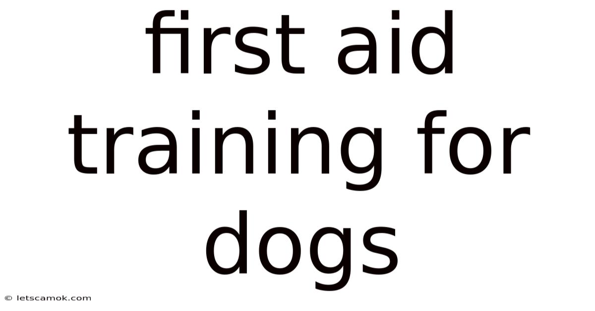 First Aid Training For Dogs