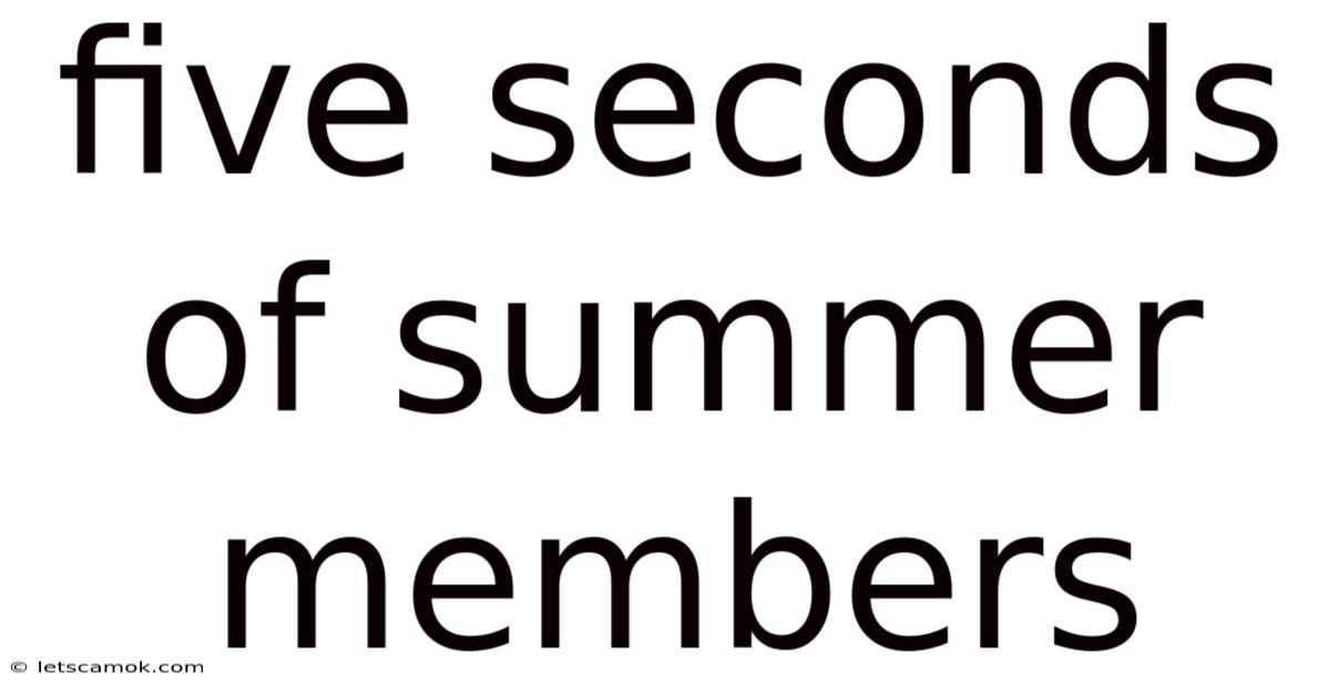 Five Seconds Of Summer Members