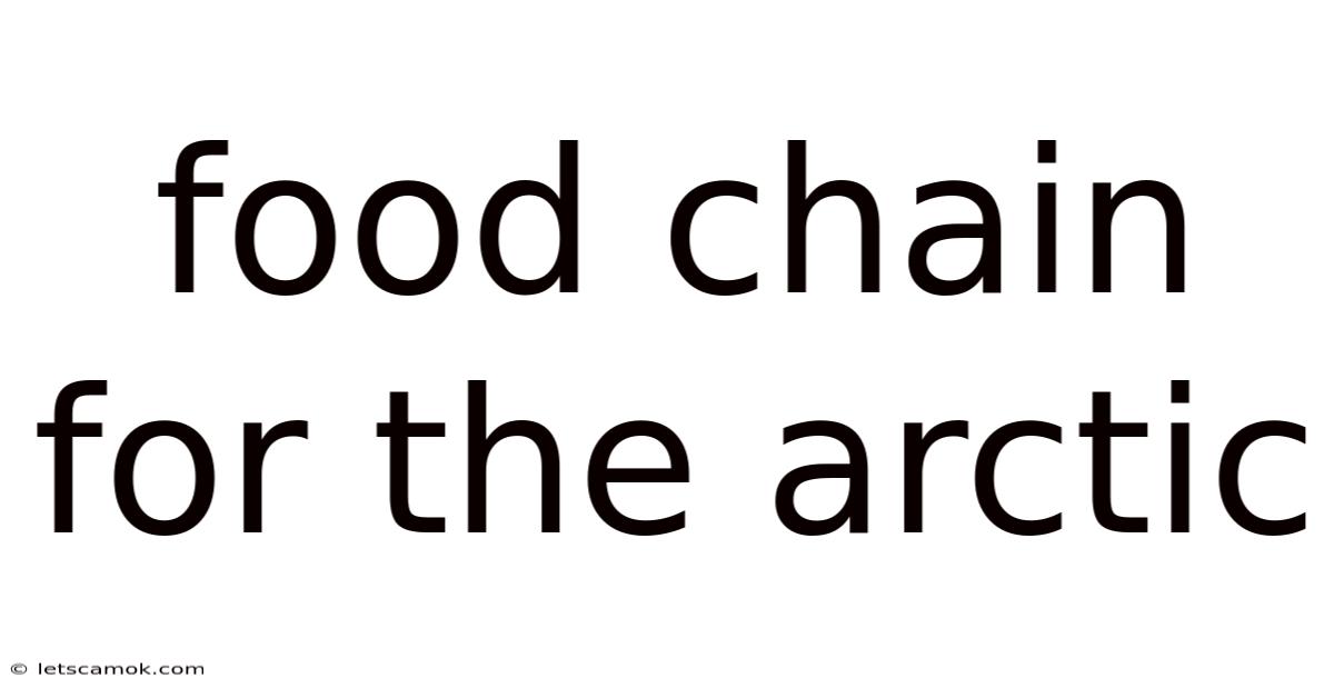 Food Chain For The Arctic
