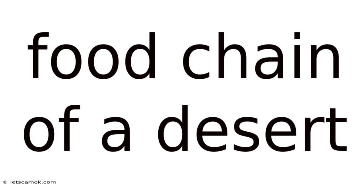 Food Chain Of A Desert