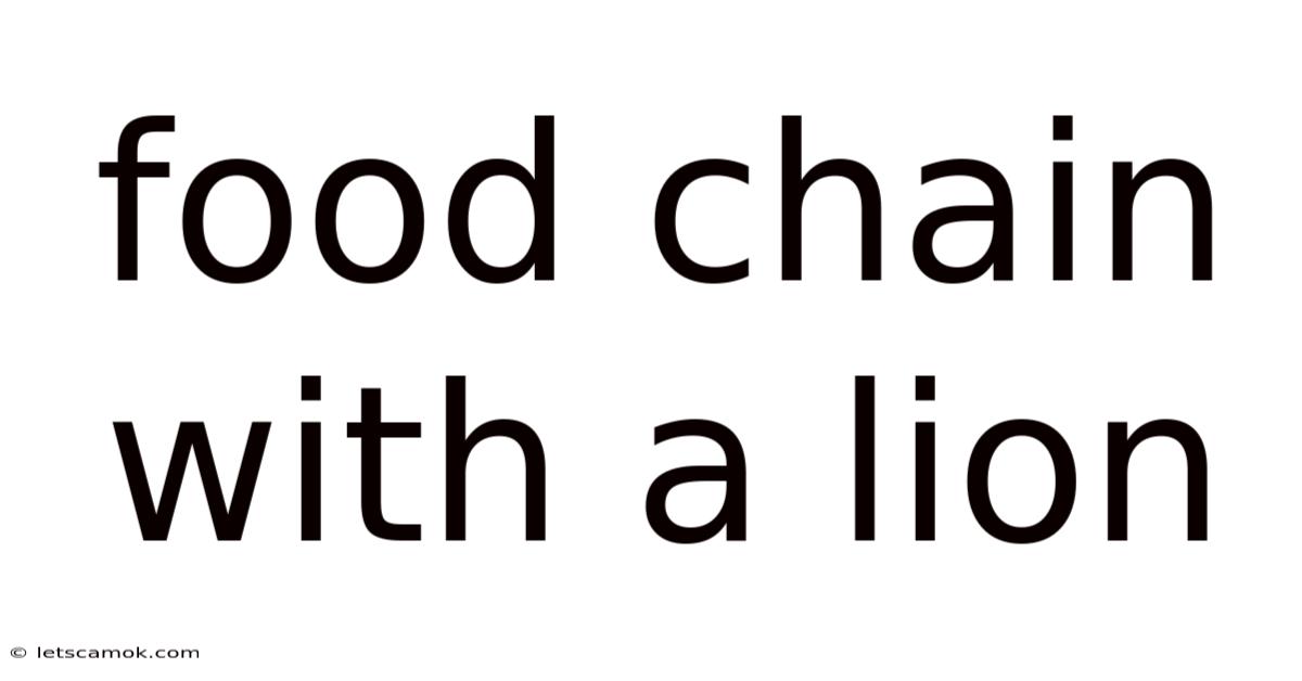 Food Chain With A Lion