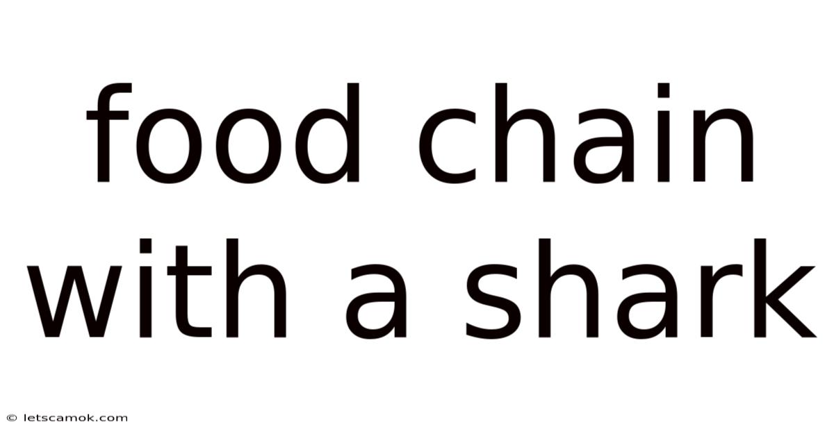 Food Chain With A Shark