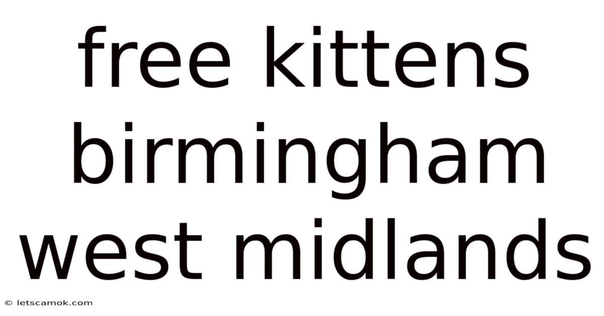 Free Kittens Birmingham West Midlands