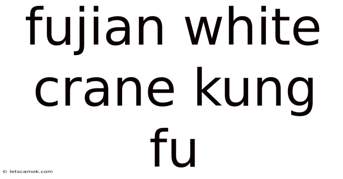 Fujian White Crane Kung Fu