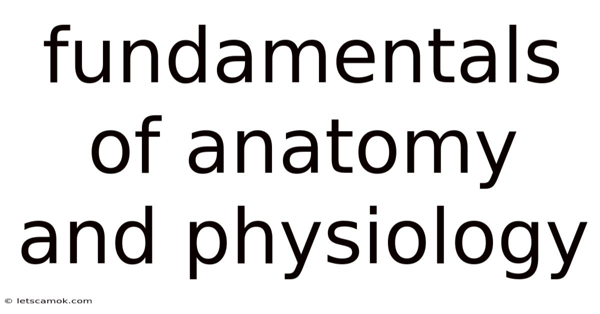 Fundamentals Of Anatomy And Physiology