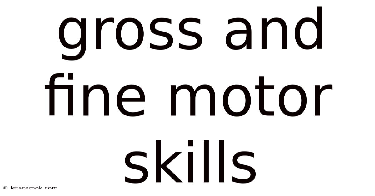 Gross And Fine Motor Skills