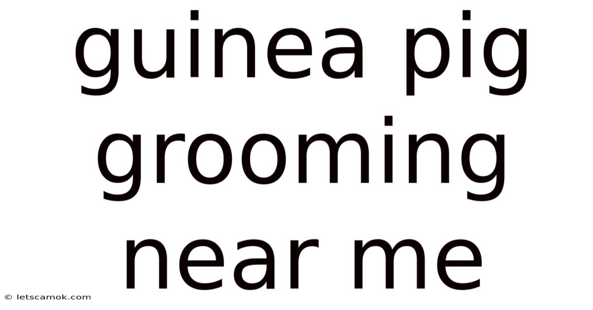Guinea Pig Grooming Near Me
