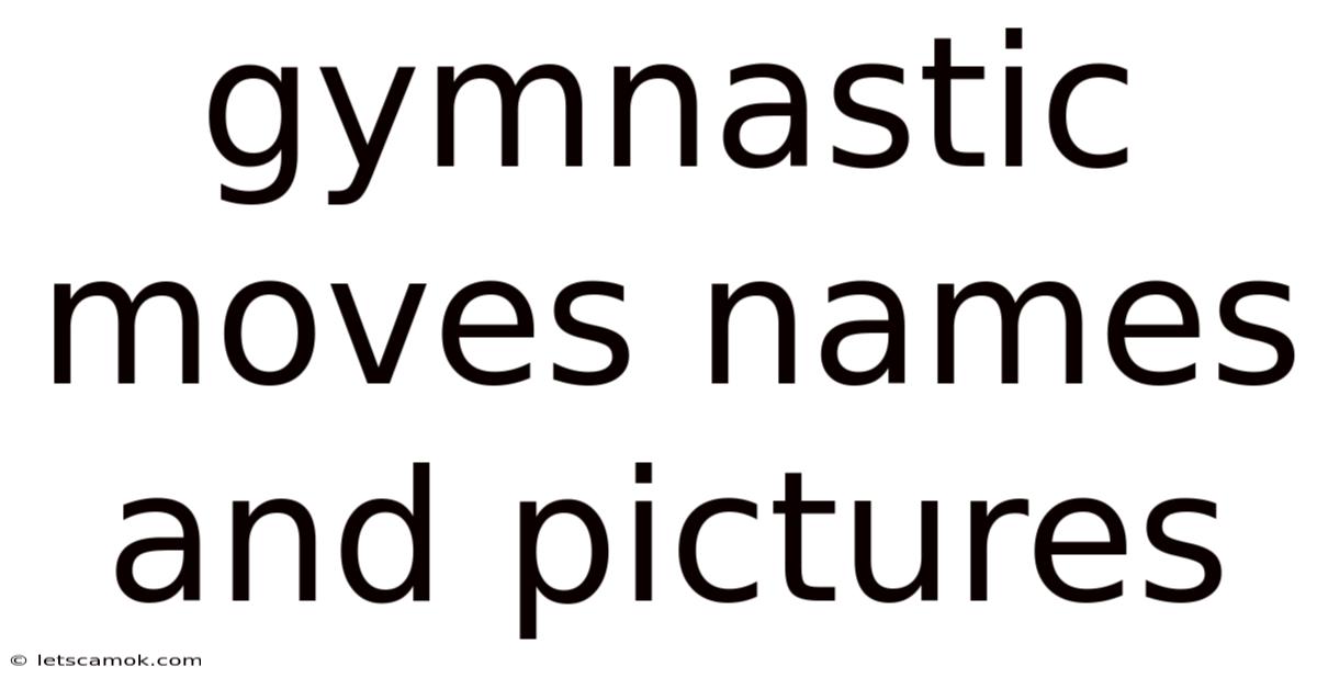 Gymnastic Moves Names And Pictures