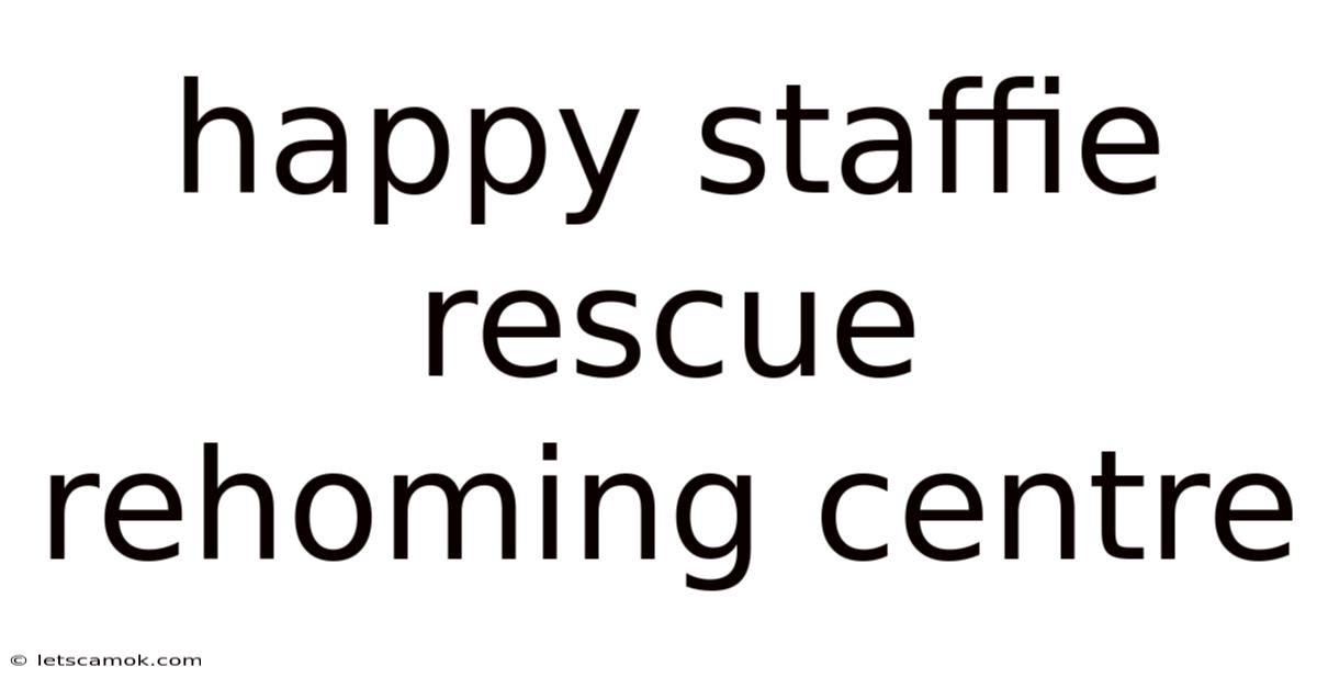 Happy Staffie Rescue Rehoming Centre