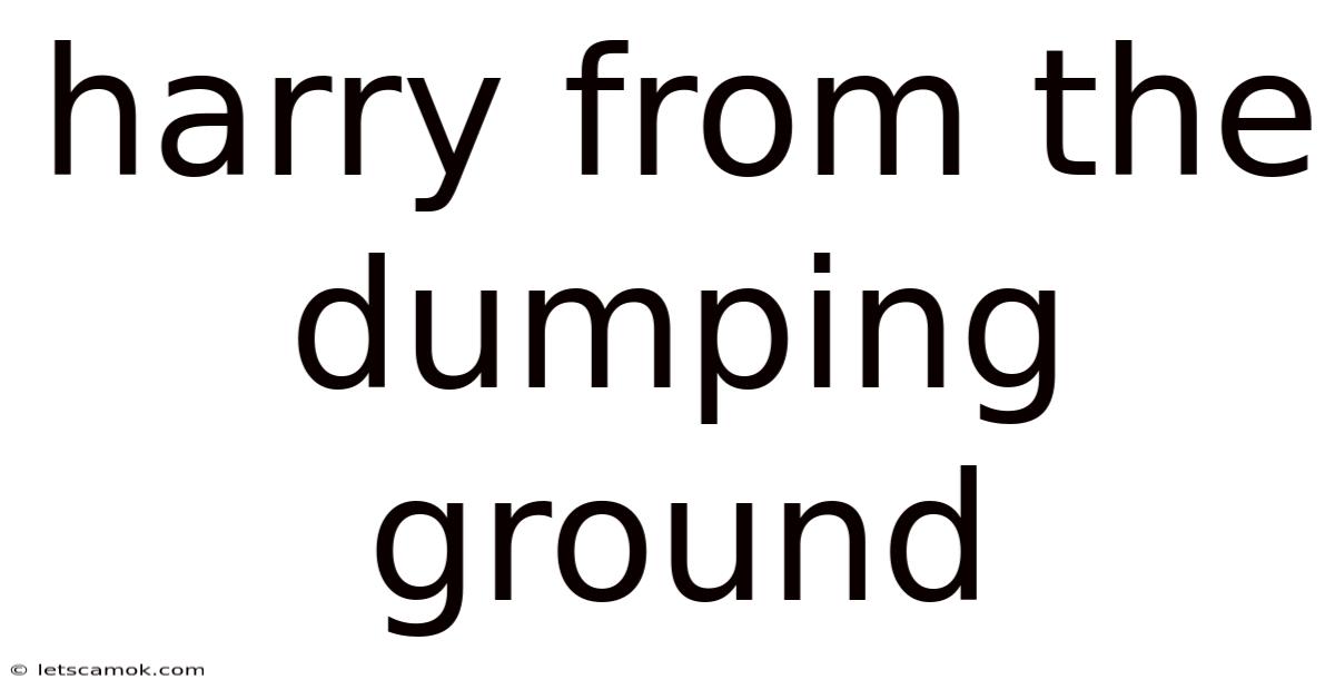 Harry From The Dumping Ground
