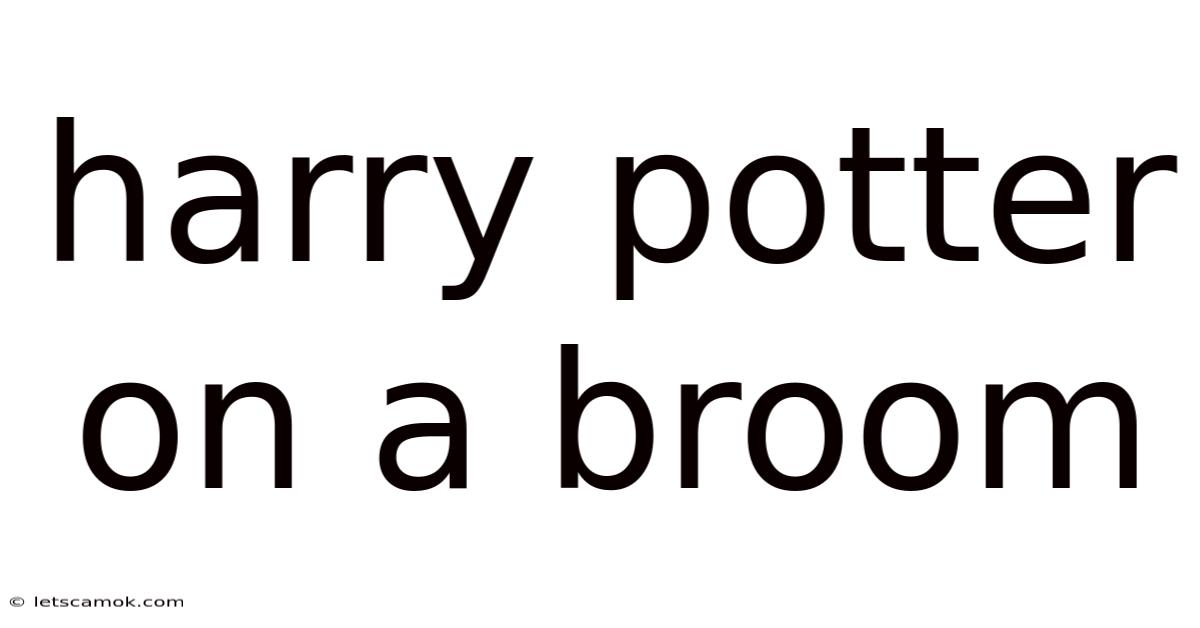 Harry Potter On A Broom