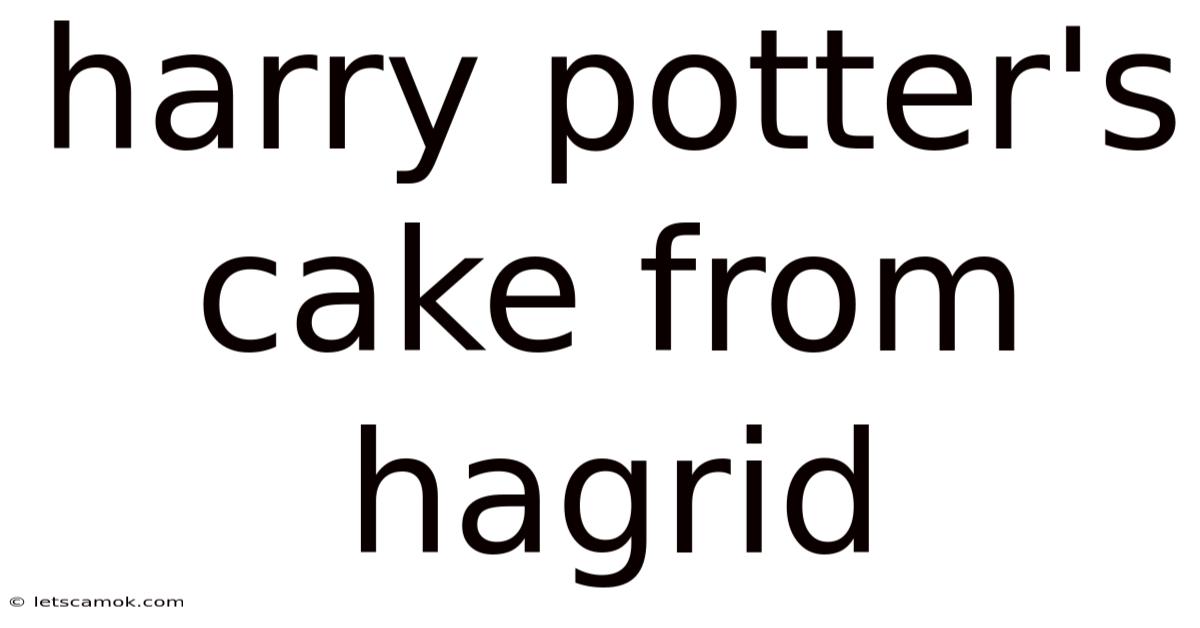 Harry Potter's Cake From Hagrid