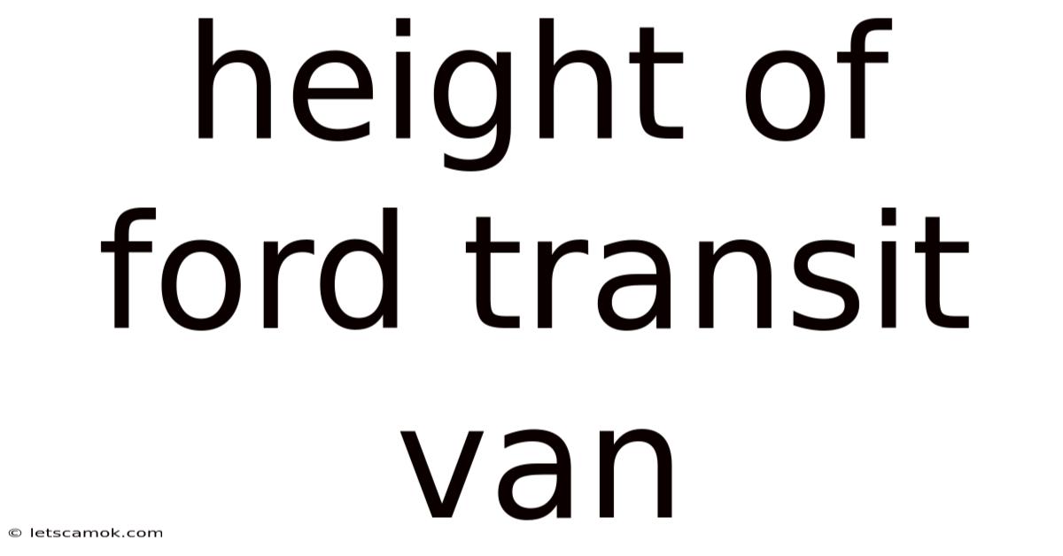 Height Of Ford Transit Van