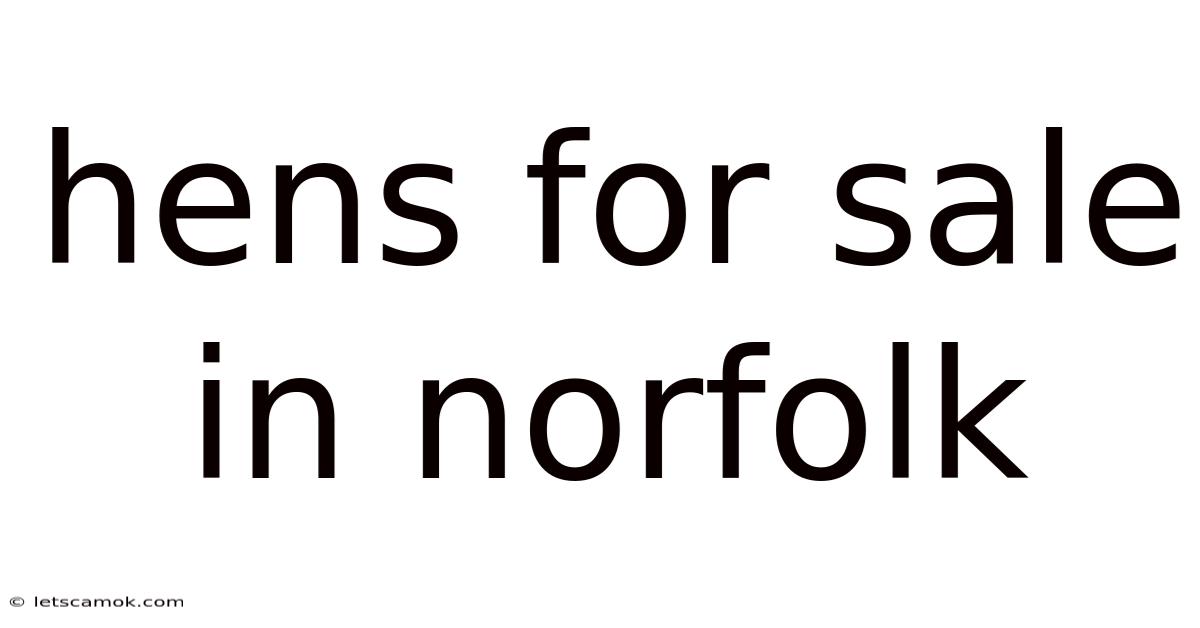 Hens For Sale In Norfolk