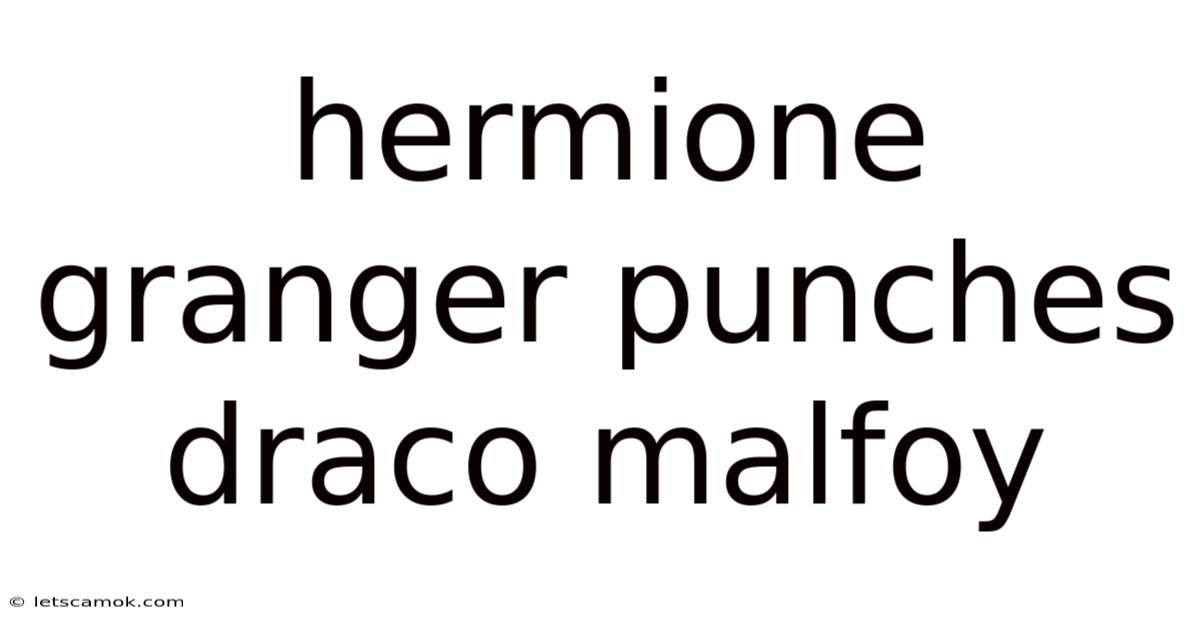 Hermione Granger Punches Draco Malfoy