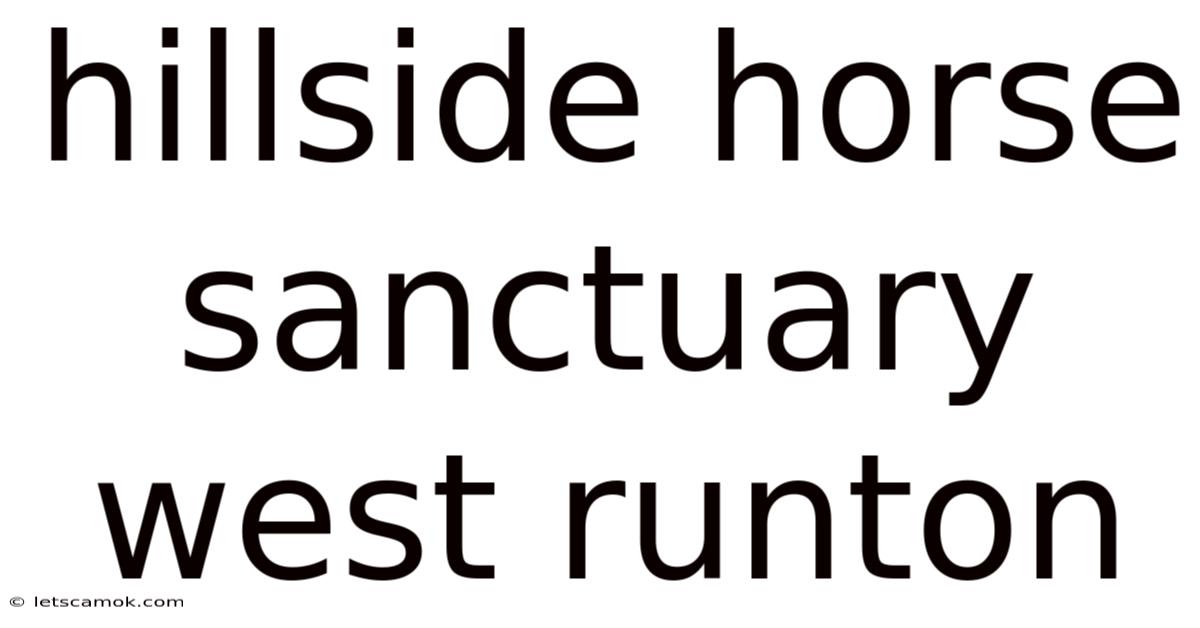Hillside Horse Sanctuary West Runton
