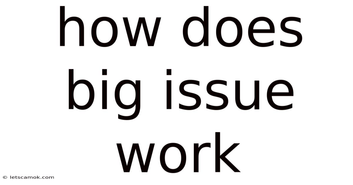 How Does Big Issue Work