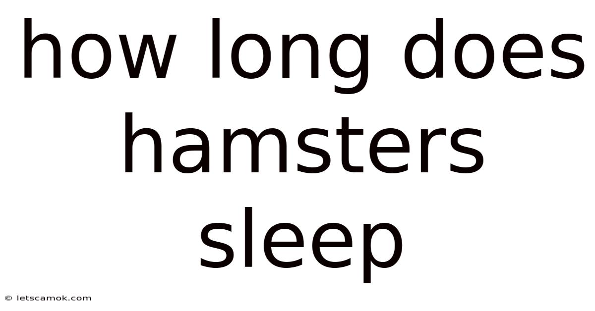 How Long Does Hamsters Sleep