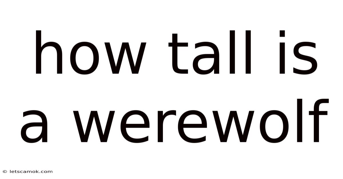 How Tall Is A Werewolf